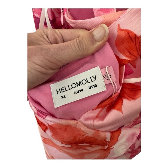 HELLO MOLLY | NWT Fleur Fantasia Maxi Dress in Pink, Size XL - Picture 8 of 13